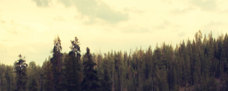 Turismo ecosostenibile, nel Lazio si può!!