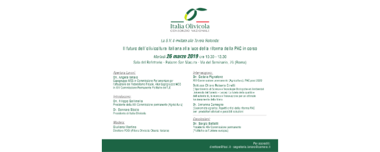 Il futuro dell’olivicoltura italiana alla luce della riforma della PAC in corso